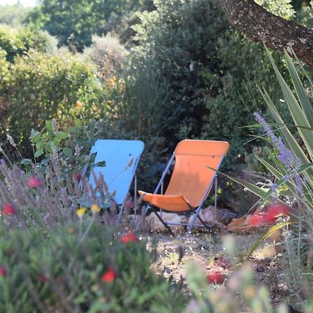 L'Instant D'Une Pause Seillons-Source-d'Argens Dış mekan fotoğraf